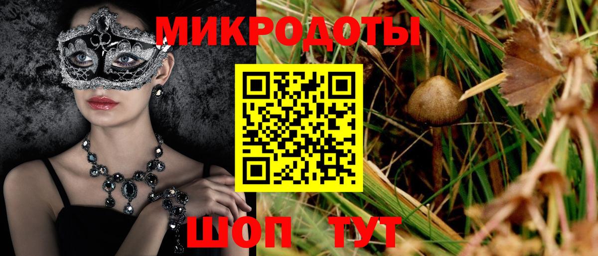 Псилоцибиновые грибы ЛСД Гай