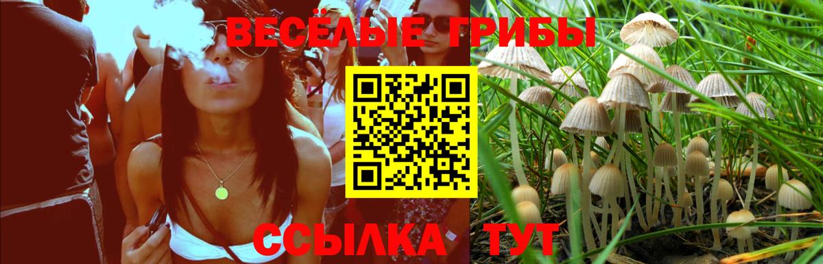 Галлюциногенные грибы Magic Shrooms  Галлюциногенные грибы MAGIC MUSHROOMS  Вход с VPN  где продают наркотики  Гай 